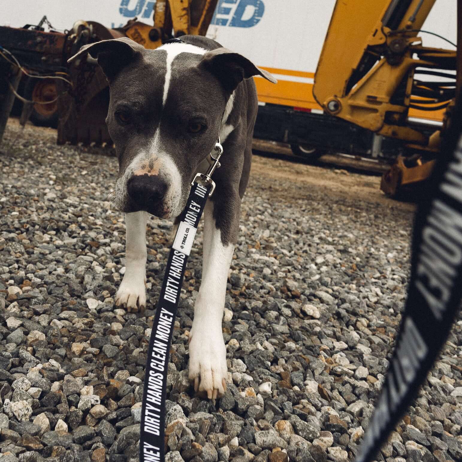 DHCM Heavy Duty Dog Leash - Image 10