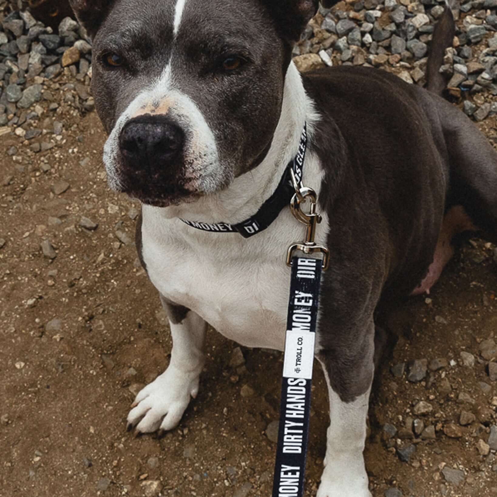DHCM Heavy Duty Dog Leash - Image 9