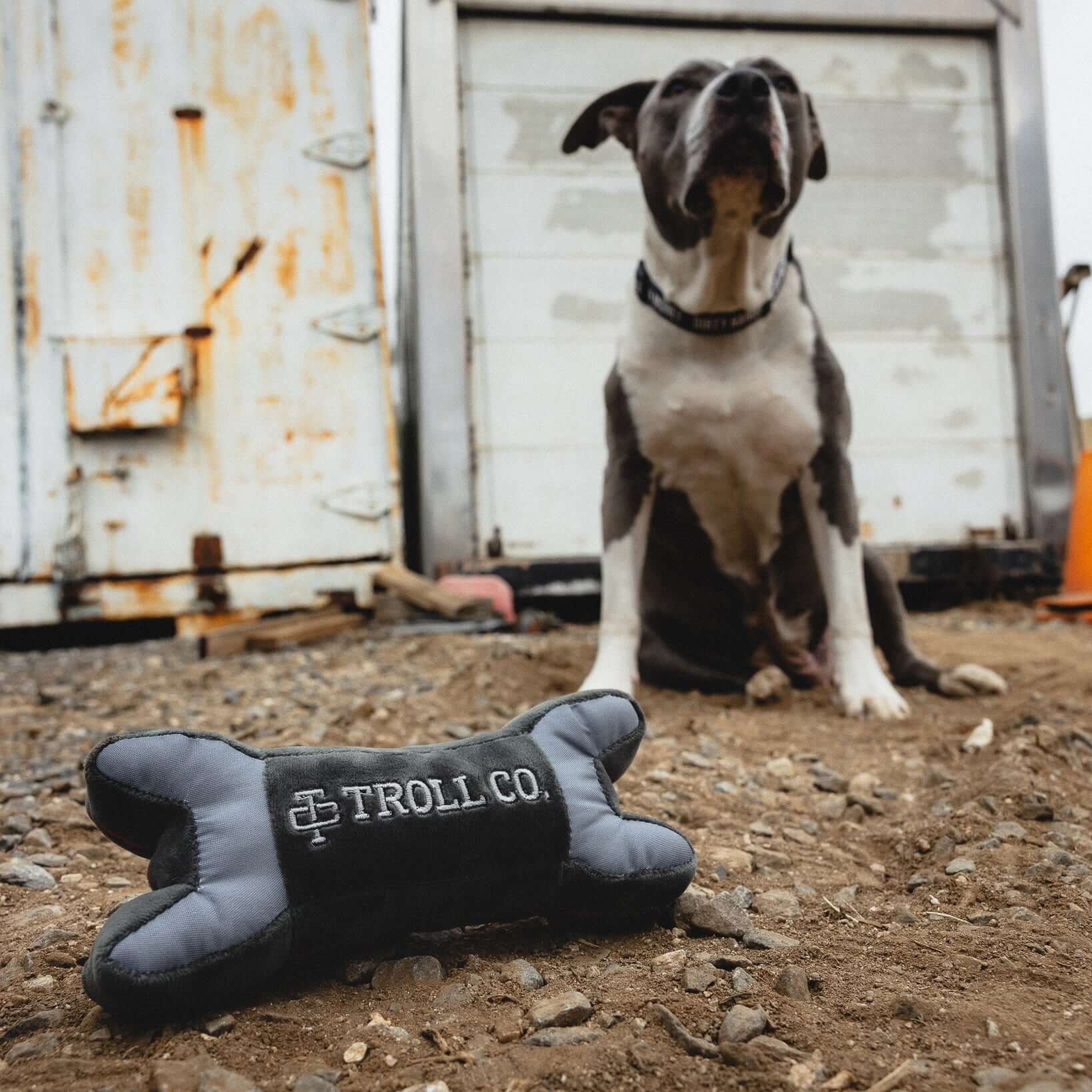 DHCM Wrench Dog Toy - Image 8